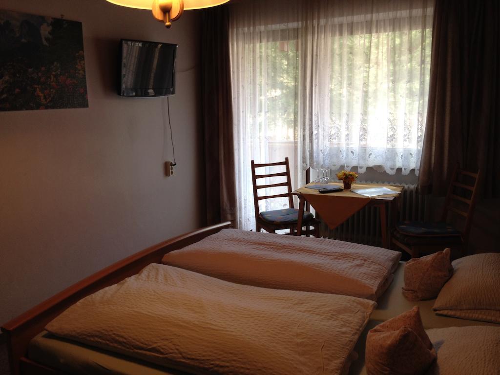 Gasthaus Pension Sternknockel Bodenmais Pokój zdjęcie