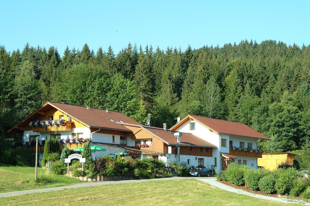 Gasthaus Pension Sternknockel Bodenmais Zewnętrze zdjęcie