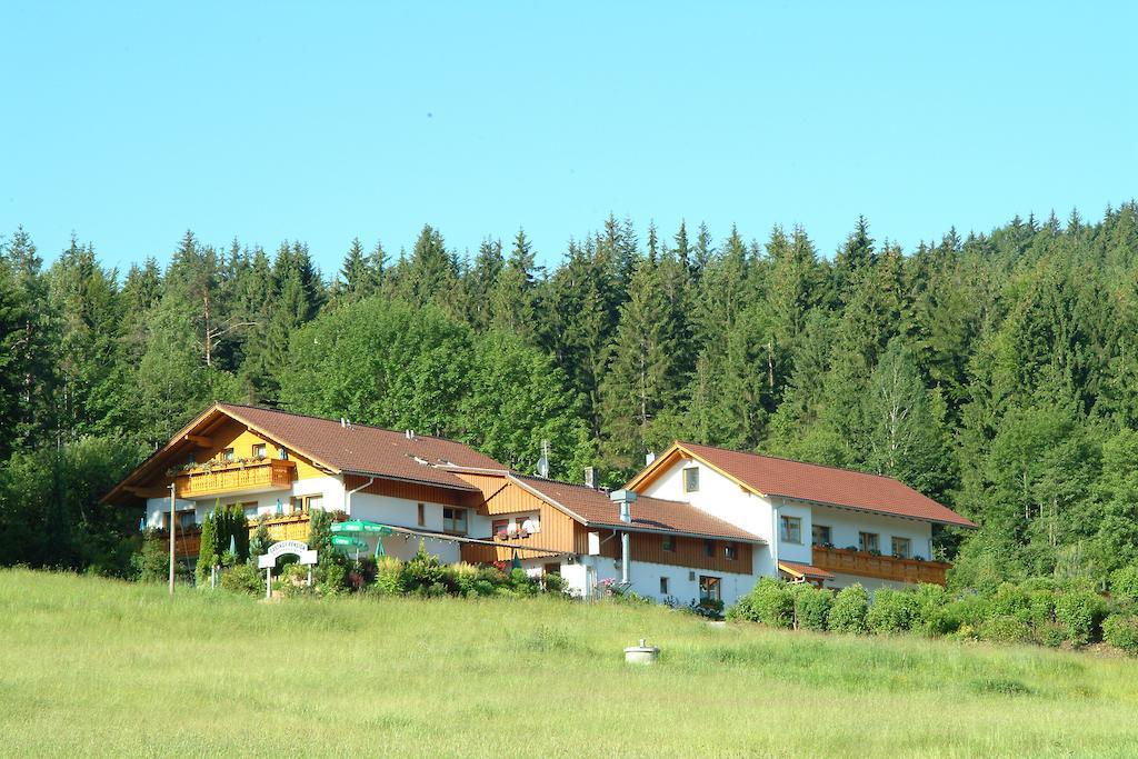 Gasthaus Pension Sternknockel Bodenmais Zewnętrze zdjęcie