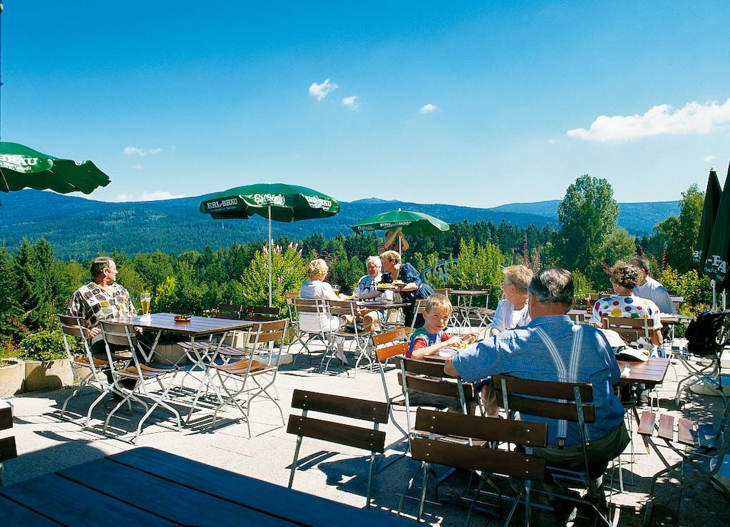 Gasthaus Pension Sternknockel Bodenmais Zewnętrze zdjęcie